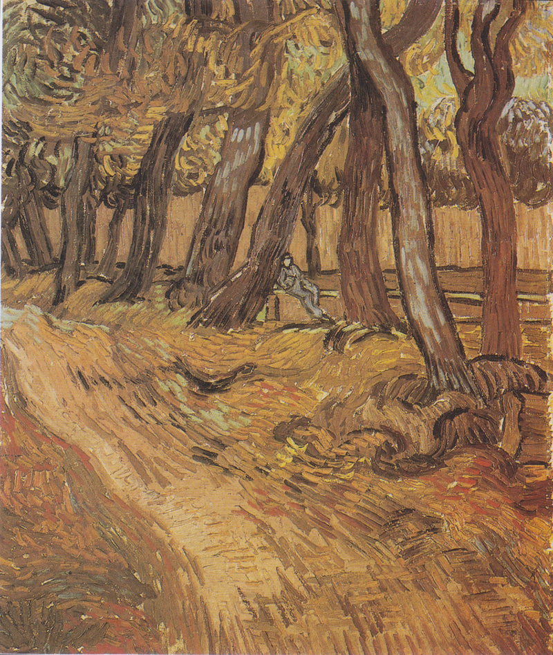 Garden of Saint Paul Hospital with Figure, The - Vincent van Gogh