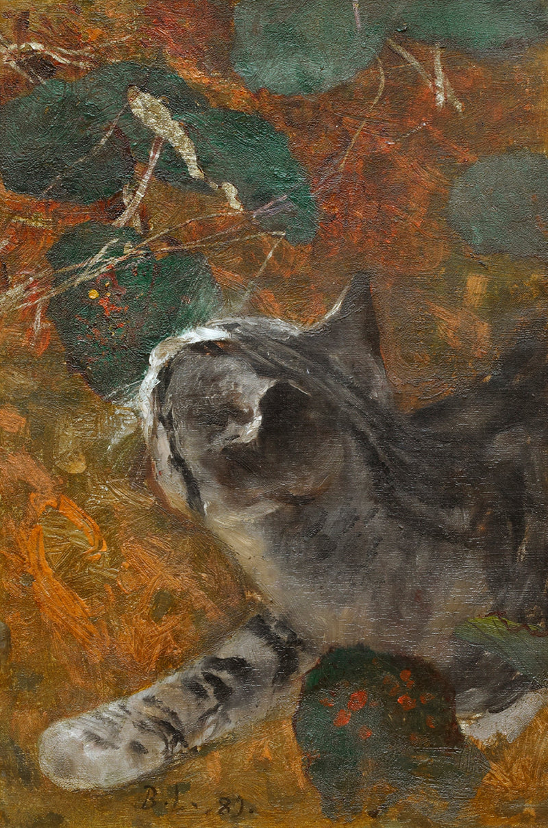 Jeppe the cat - Bruno Liljefors