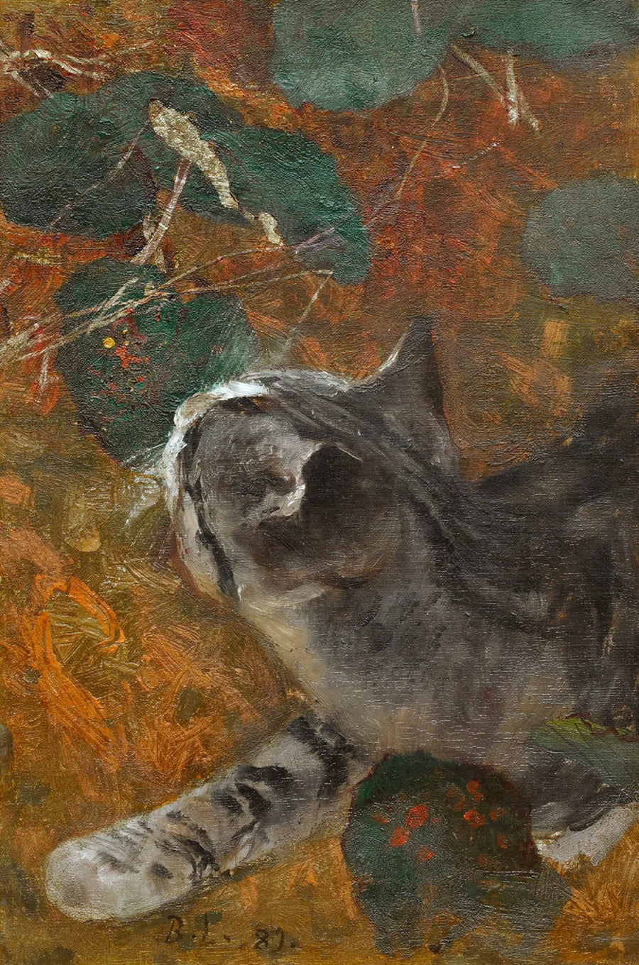 Jeppe the cat - Bruno Liljefors