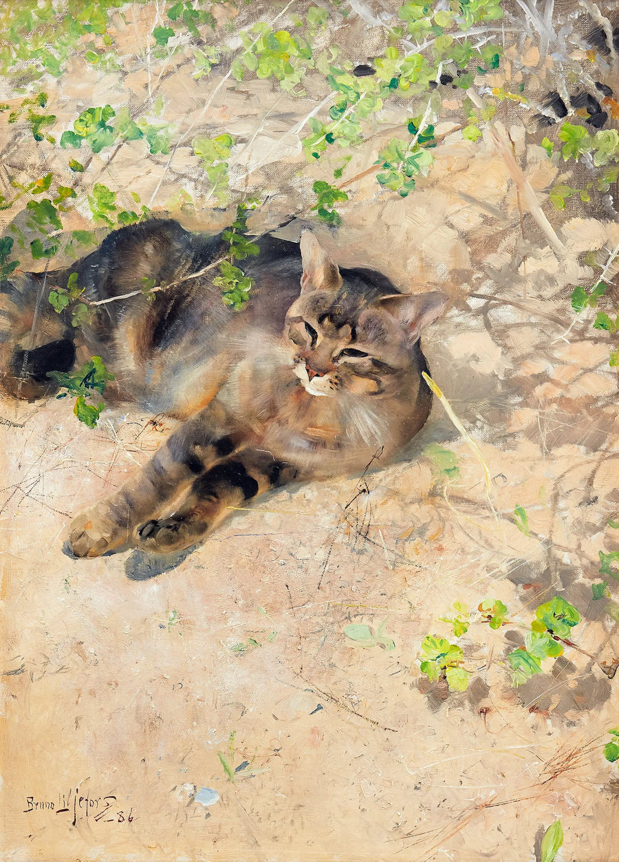 Jeppe the cat in the spring sunshine - Bruno Liljefors