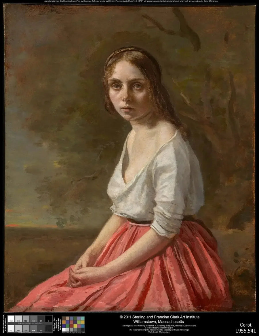 Young Girl in a Pink Skirt - Jean-Baptiste Camille Corot