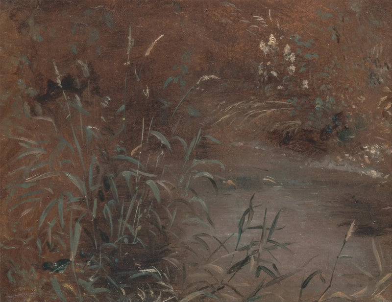 Reeds by the edge of a swimming pool - John Constable