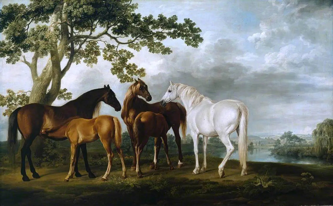 Juments et Poulains dans un paysage fluvial - George Stubbs - Alpha Reproduction