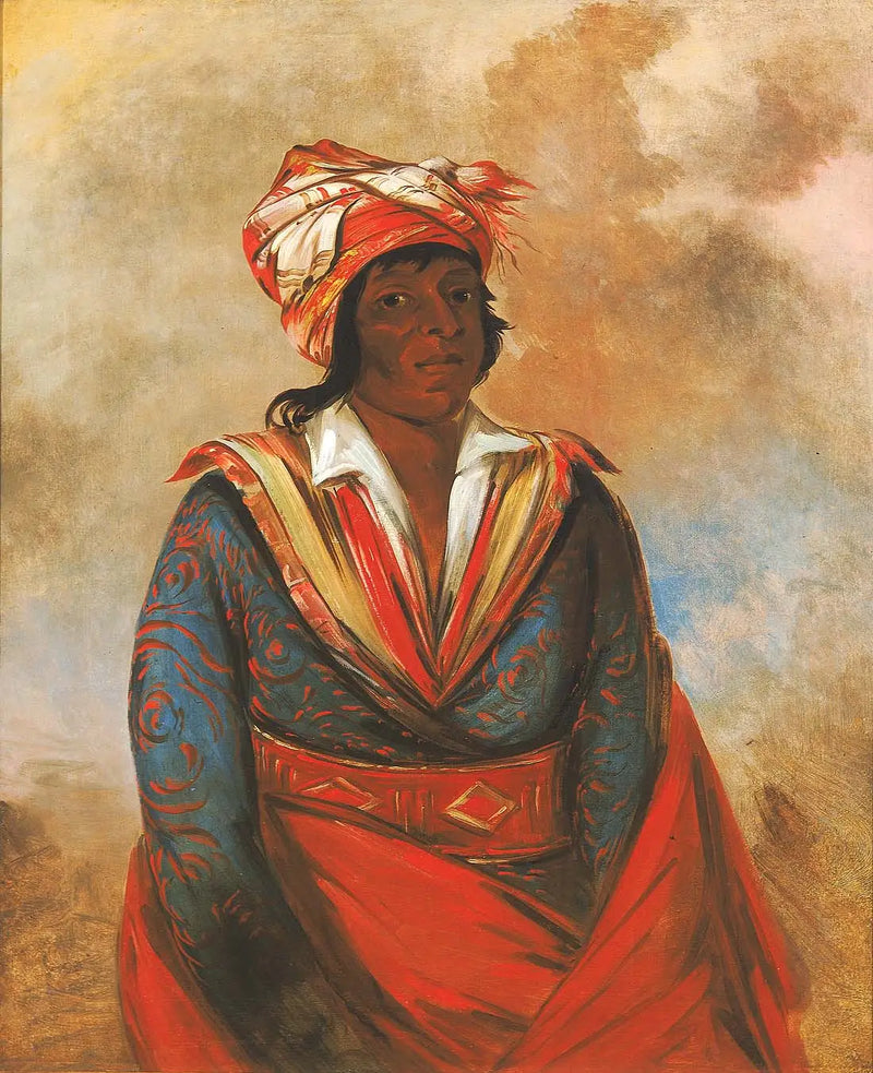 Kút-tee-o-túb-bee, How did he kill ?, a brave recognized - George Catlin