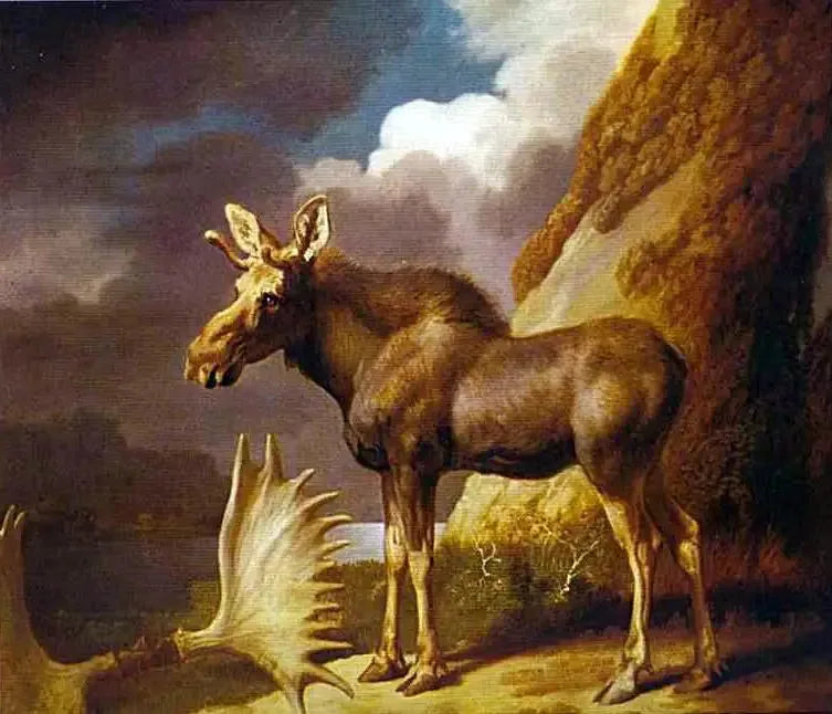 The Stag - George Stubbs