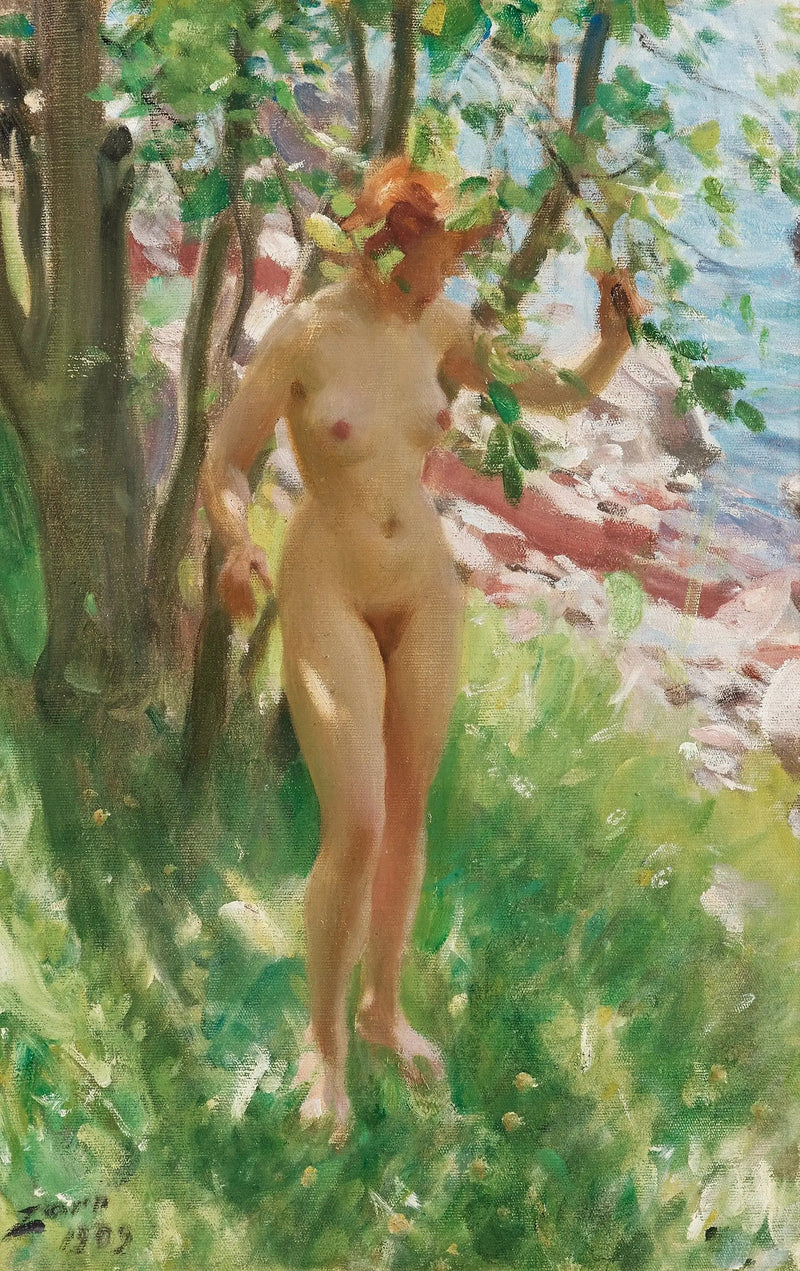The Shadow - Anders Zorn