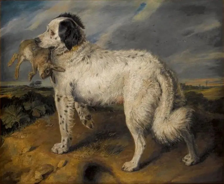 La Championne : Venus - Edwin Henry Landseer