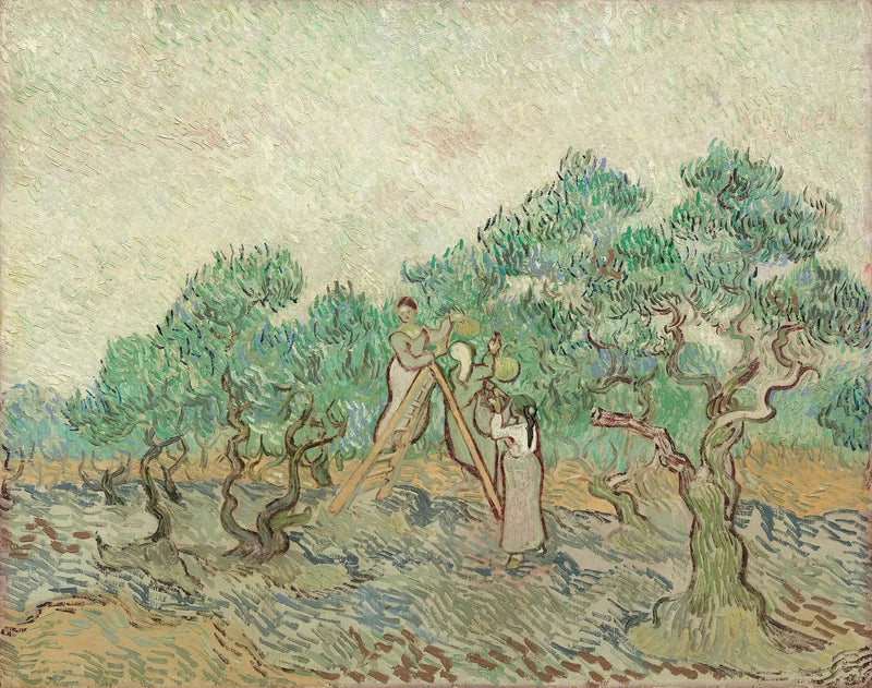 The Olive Harvest - Vincent van Gogh