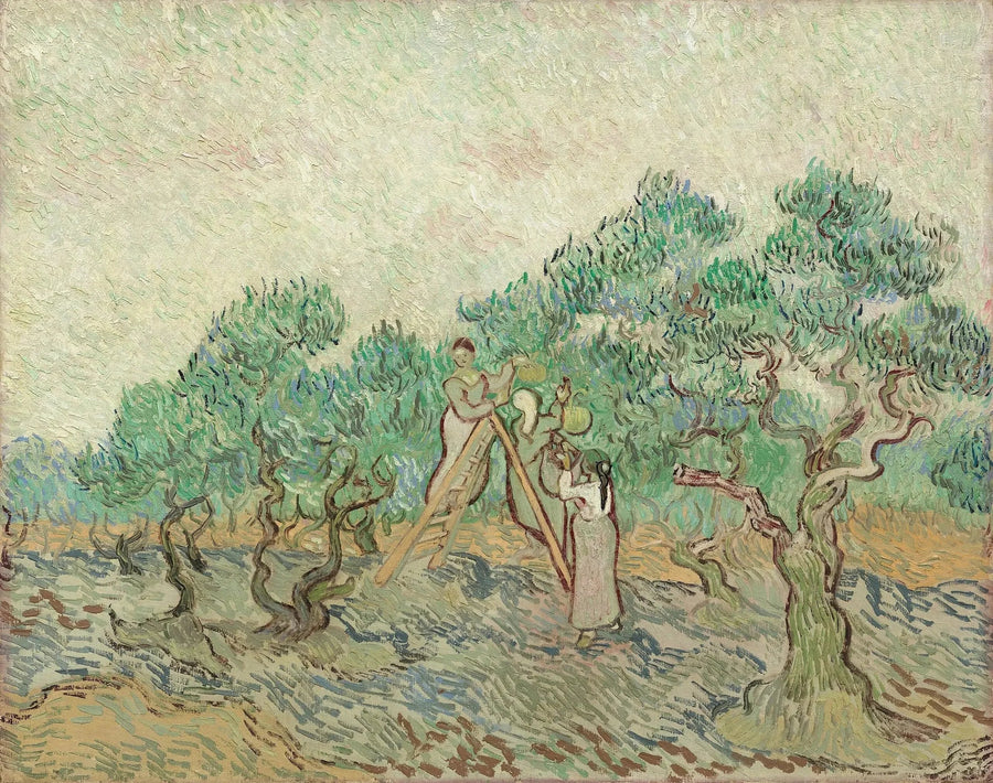 The Olive Harvest - Vincent van Gogh