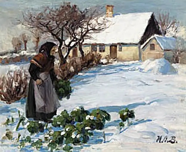 The woman of a farmer harvesting cabbage in the garden in winter. - H. A. Brendekilde