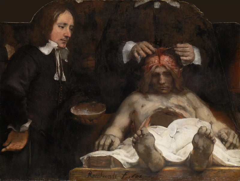 The Anatomy Lesson of Doctor Joan Deyman - Rembrandt