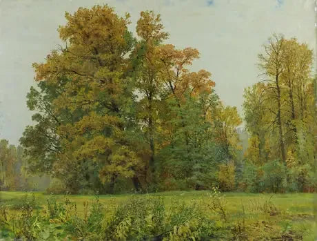 The Forest Edge - Ivan Chichkine