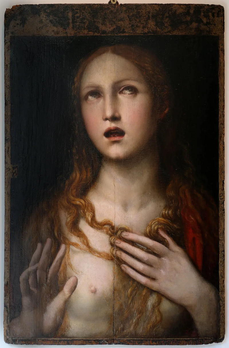 Il Sodoma (Giovanni Antonio Bazzi)