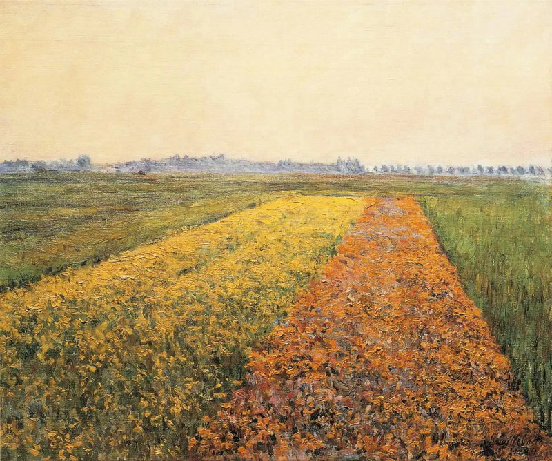The Gennevilliers Plain, Yellow Fields - Gustave Caillebotte
