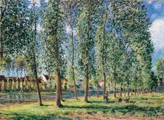The Poplar Row at Moret - Alfred Sisley