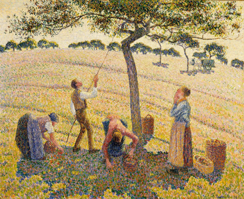 The Apple Harvest at Éragny - Camille Pissarro