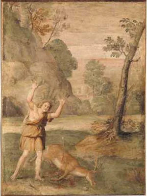 The Transformation of Cyparissus - Domenichino