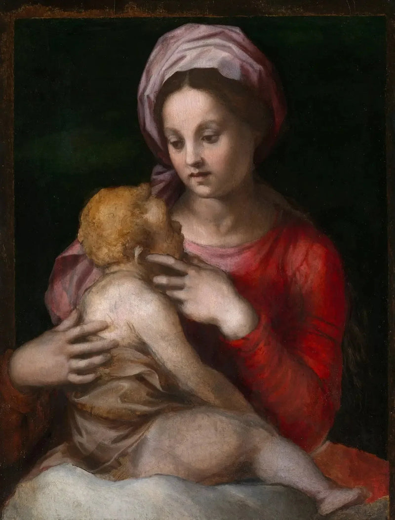 The Virgin and Child - Andrea del Sarto