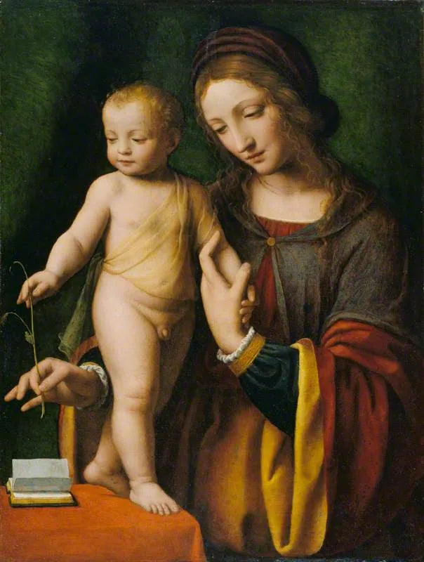 The Virgin and Child with a columbine - Bernardino Luini