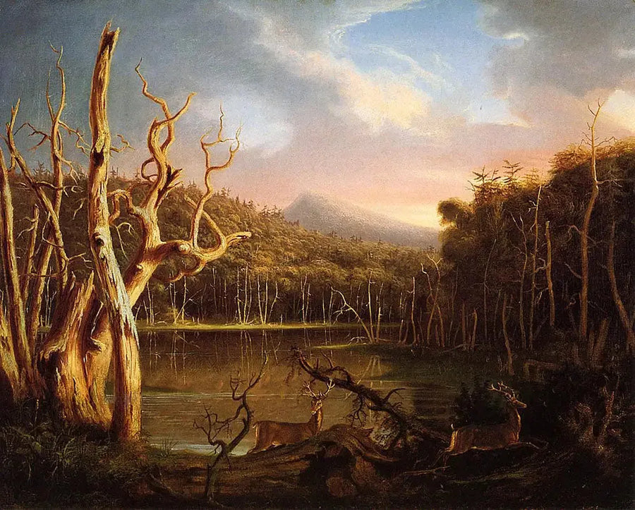 Lake with Dead Trees - Thomas Cole