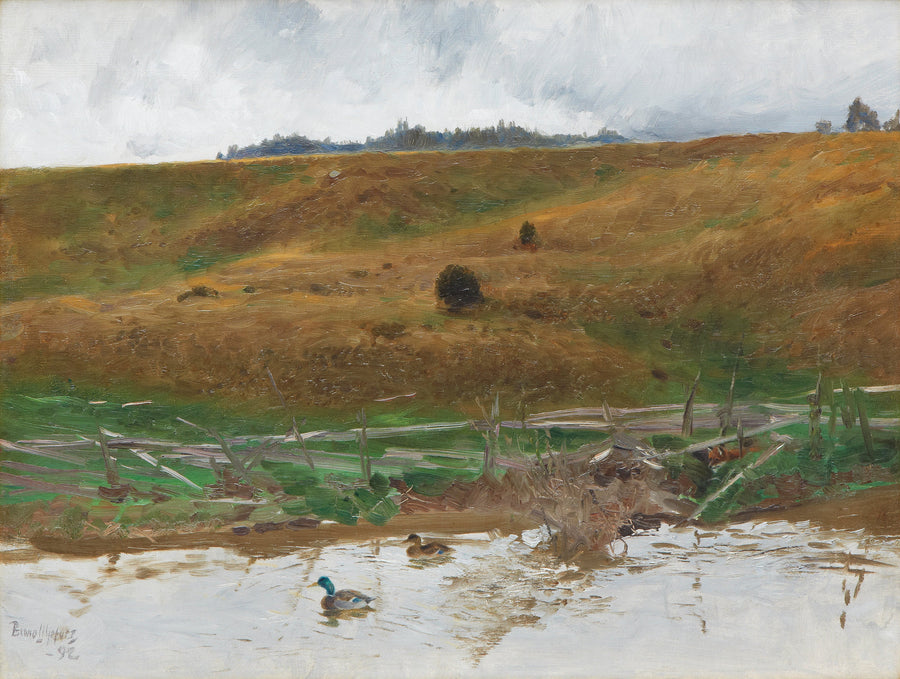 Lake with ducks - Bruno Liljefors
