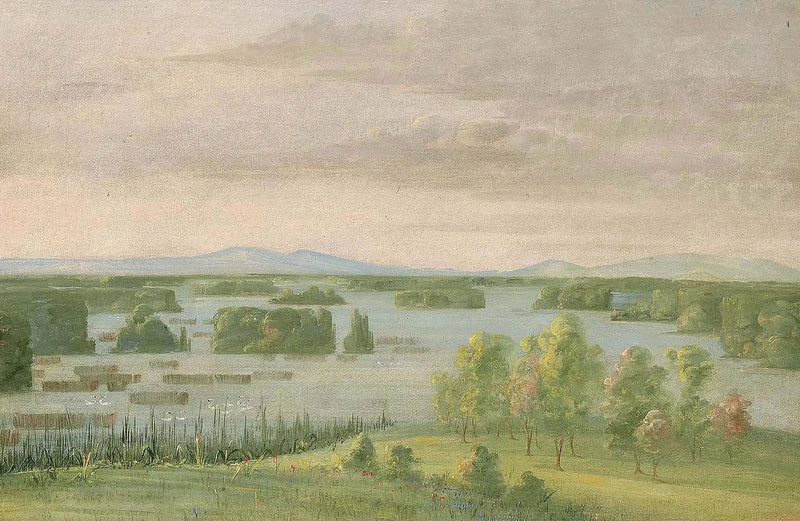 Swan Lake (Lac des Cygnes), Near the Prairie Hill - George Catlin
