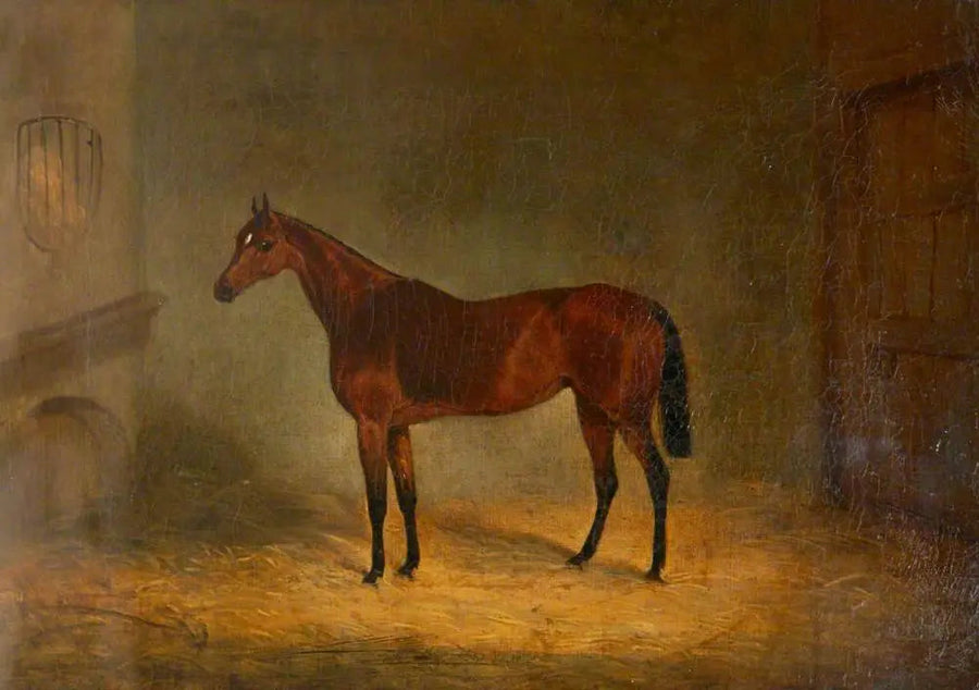 "Lady Liverpool", a bay horse in a stable - John Frederick Herring, Sr.