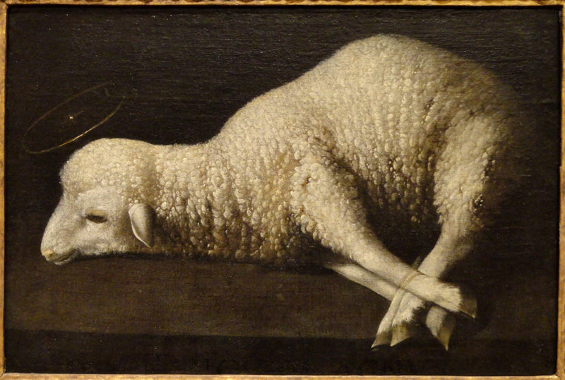 The Lamb of God - Francisco de Zurbarán