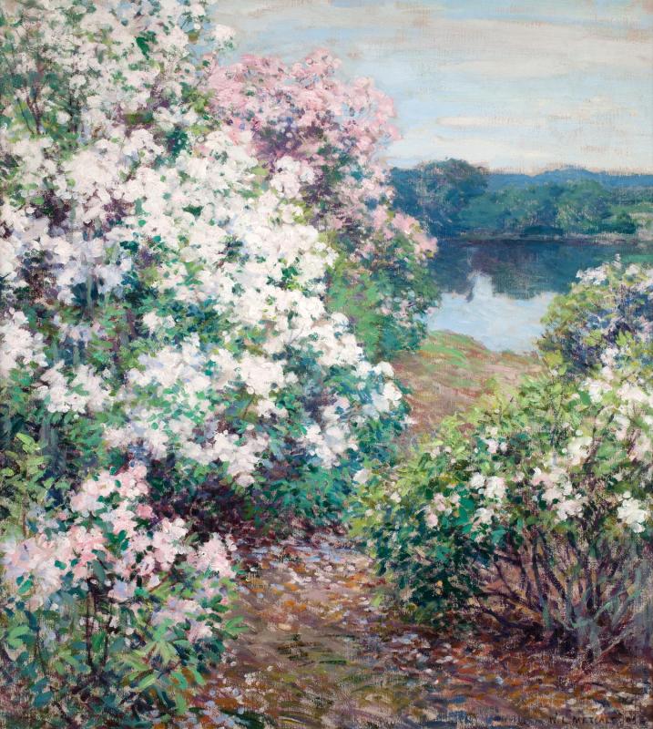 Mountain Laurel - Willard Metcalf