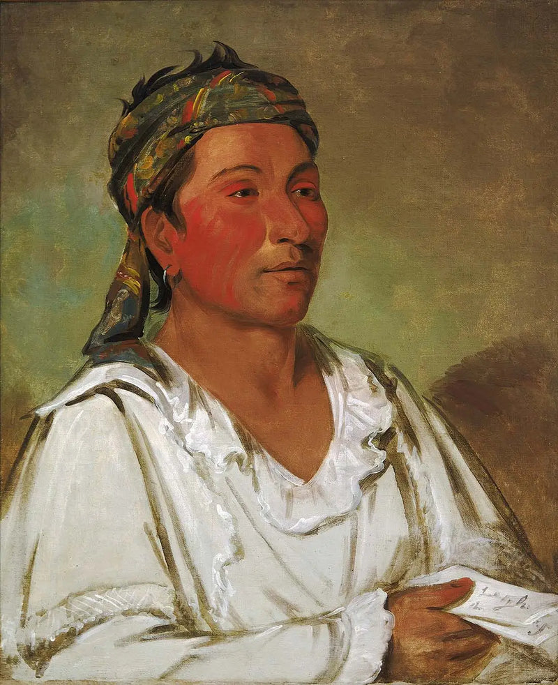 Lay-lóo-ah-pee-ái-shee-kaw, herb, bush and flower, semi-civilized - George Catlin