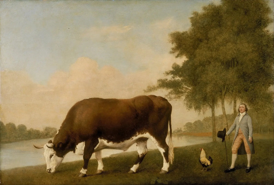 The Lincolnshire Ox - George Stubbs