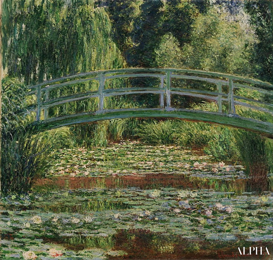 The Water Lily Pond