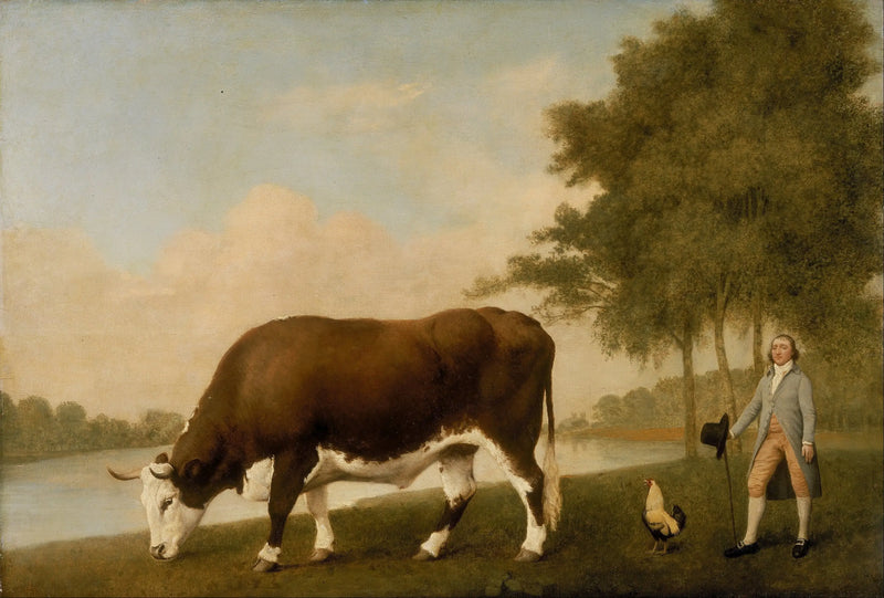 The Lincolnshire Ox - George Stubbs