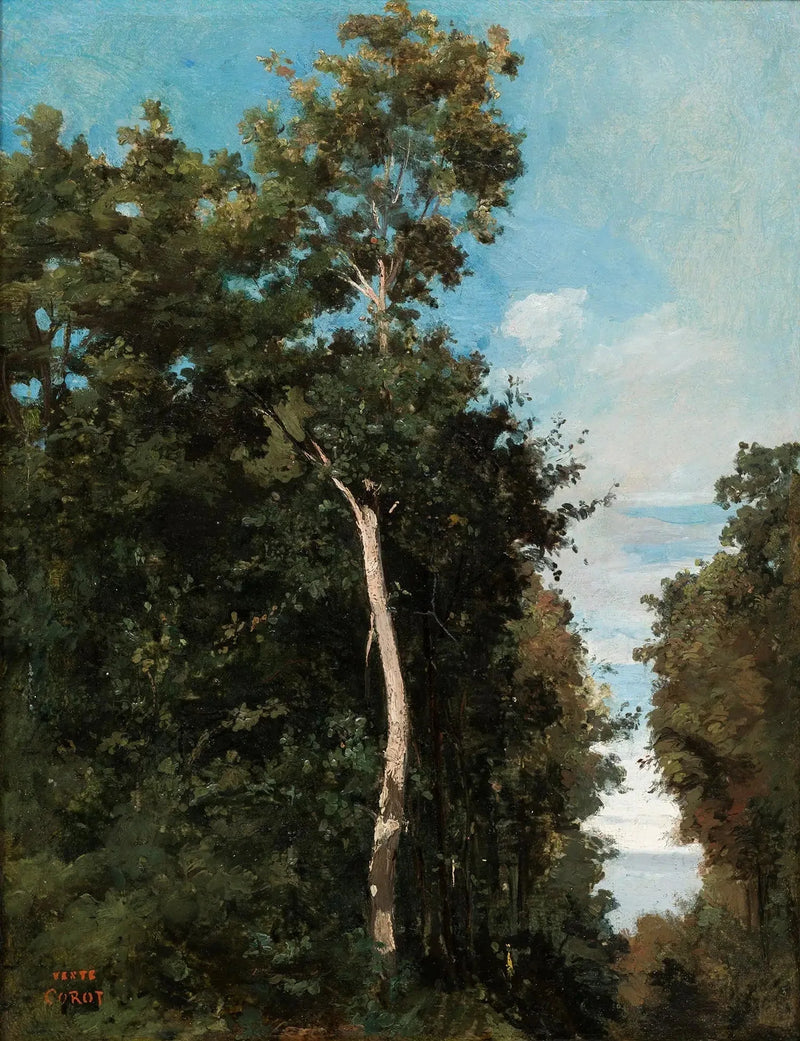 The Wood on the Côte de Grâce in Honfleur - Jean-Baptiste Camille Corot
