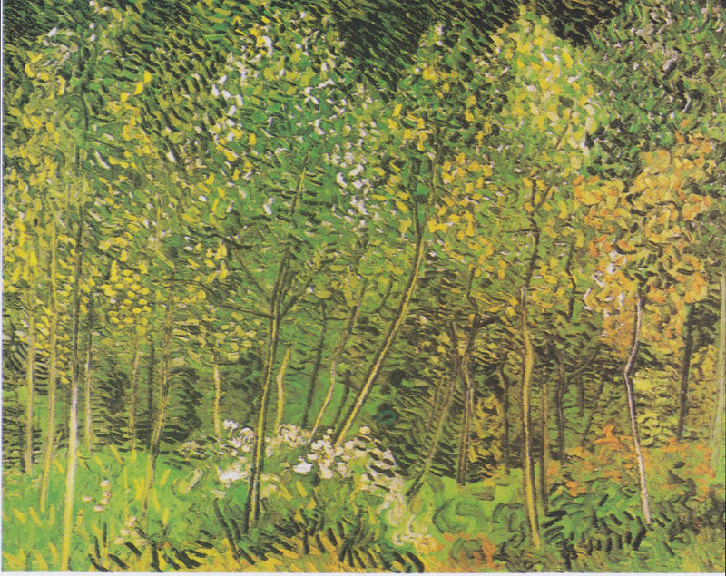 The Grove - Vincent van Gogh