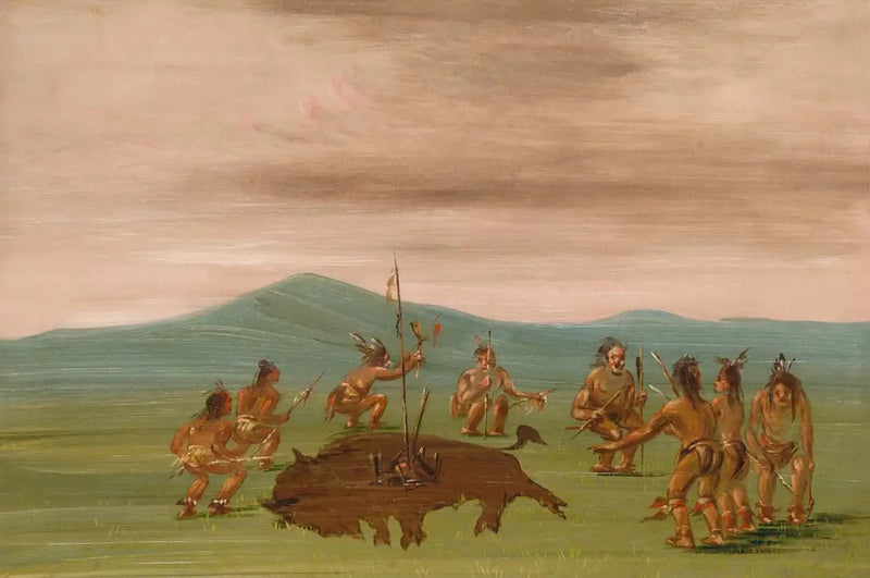 The medicinal buffalo of the Sioux - George Catlin
