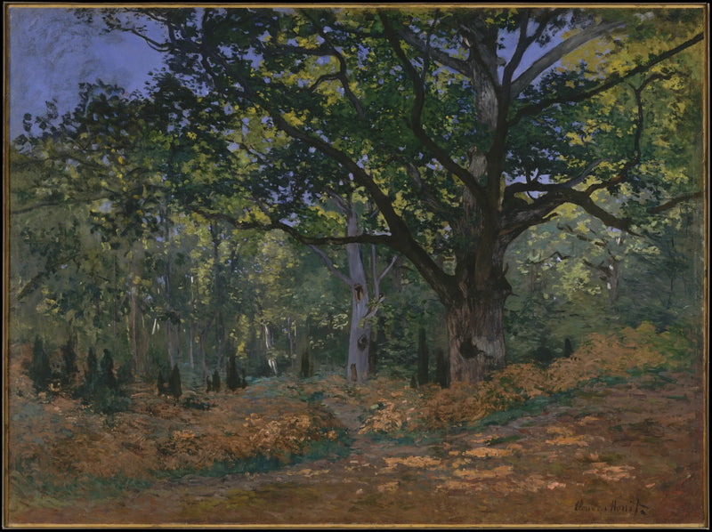 The Bodmer Oak, the Chailly Road - Claude Monet