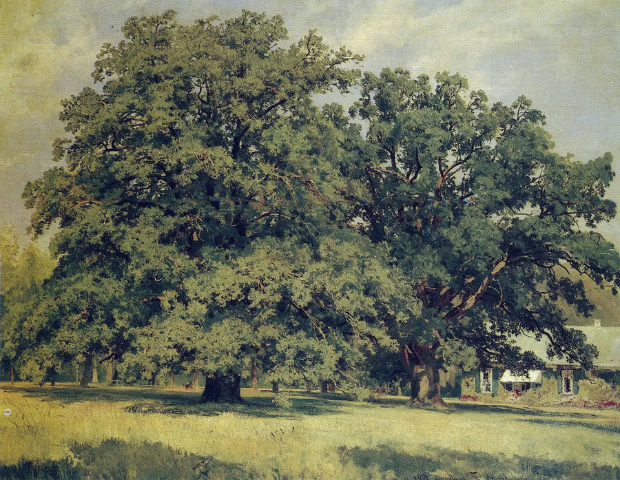 The Oak of Mordvinovo - Ivan Chichkine