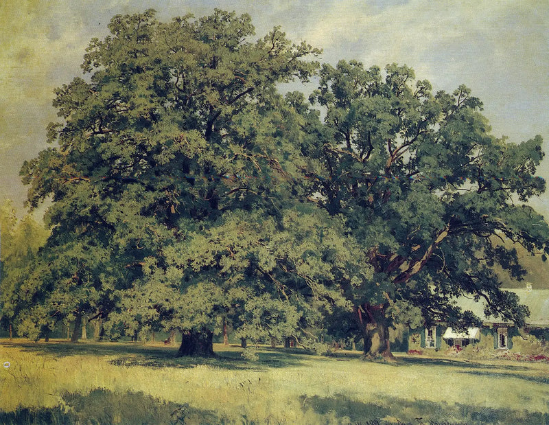 The Oak of Mordvinovo - Ivan Chichkine