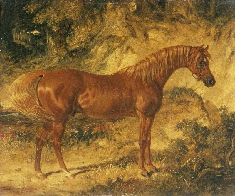 The racehorse 