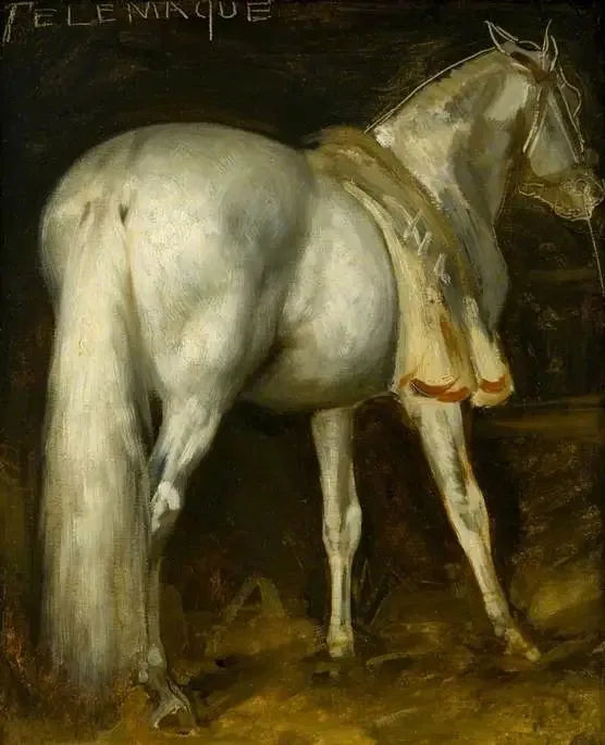 The Gray Horse 