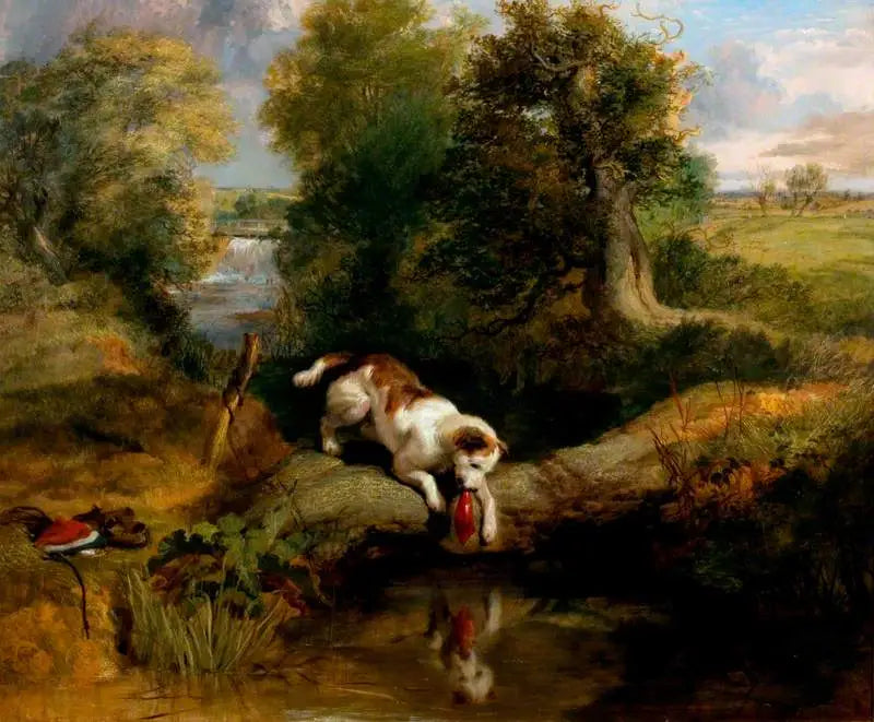 The Dog and the Shadow - Edwin Henry Landseer