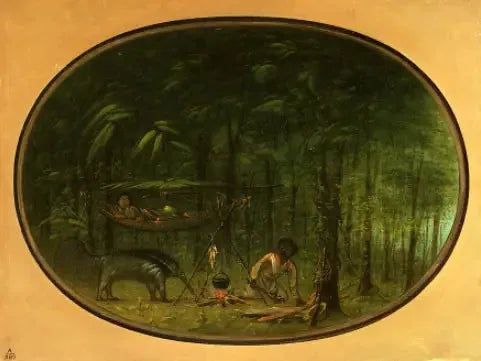 The Great Anteater - George Catlin