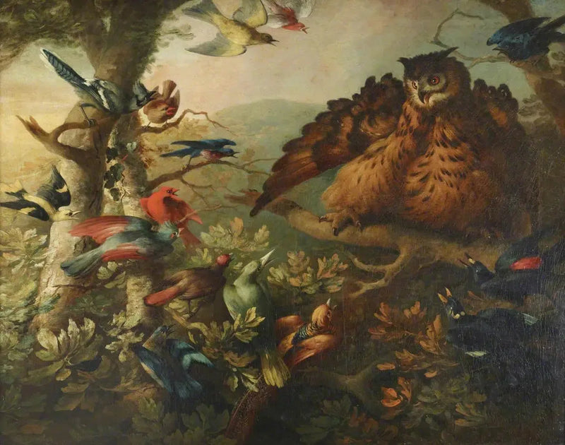 The harassment of a tawny owl by other birds - Tobias Stranover