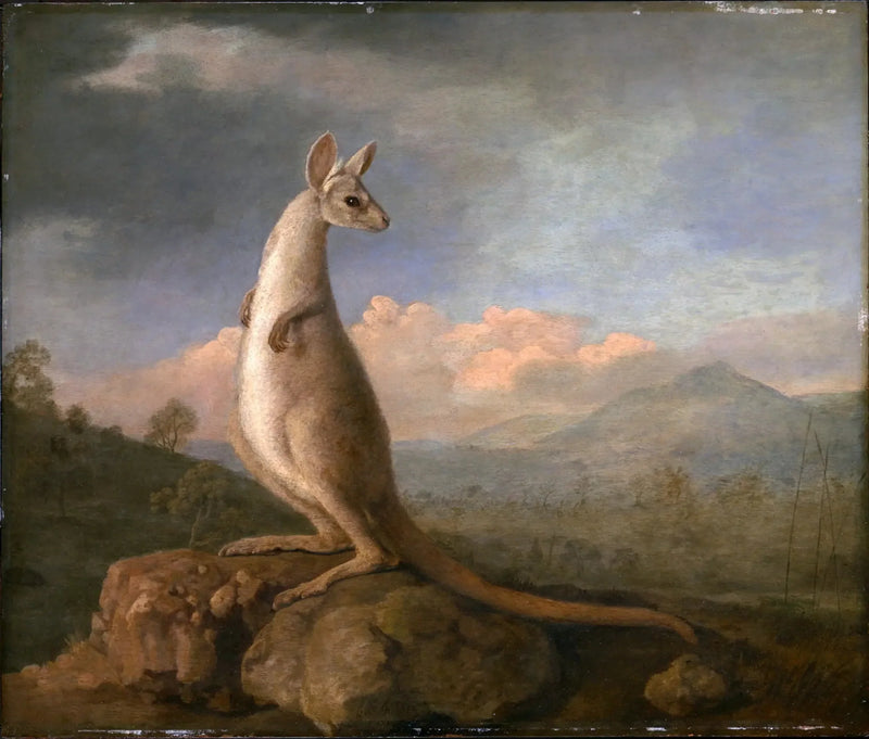 The Kongouro of New Holland - George Stubbs