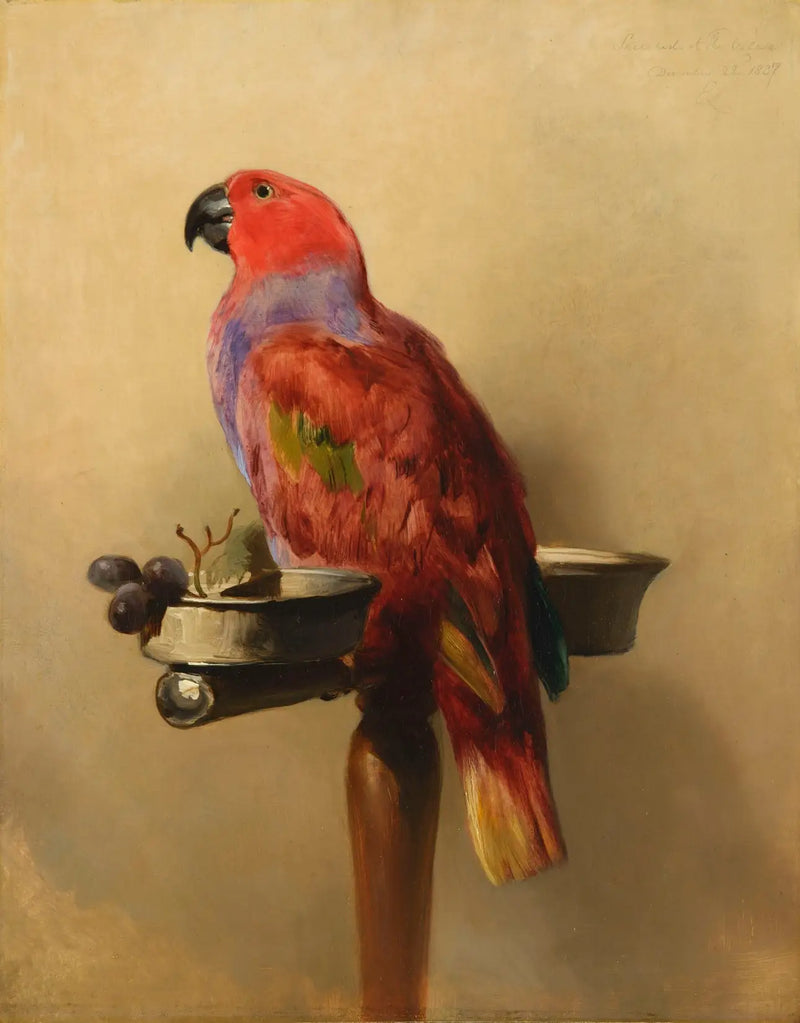 The Lori - Edwin Henry Landseer