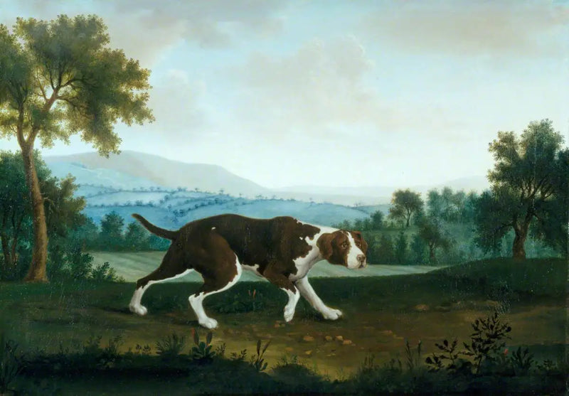 The Spanish Pointer - George Stubbs
