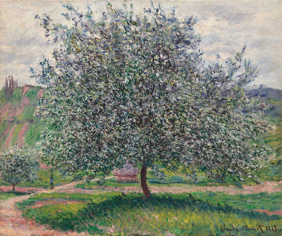 Translated title not available - Claude Monet