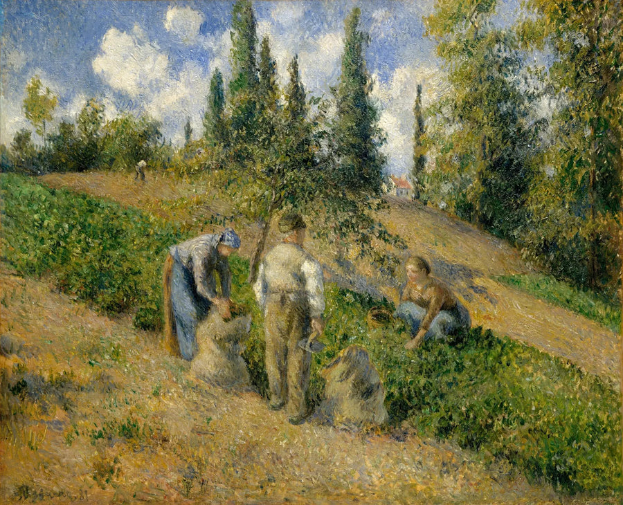 The Harvest, Pontoise - Camille Pissarro