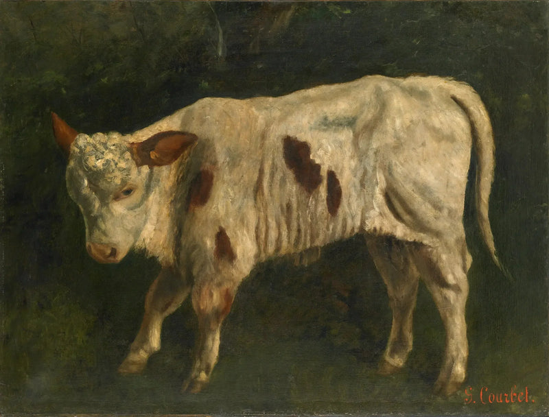 The White Calf - Gustave Courbet